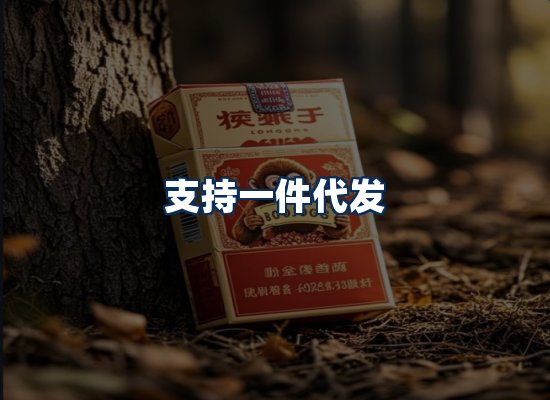 专业团队办公环境